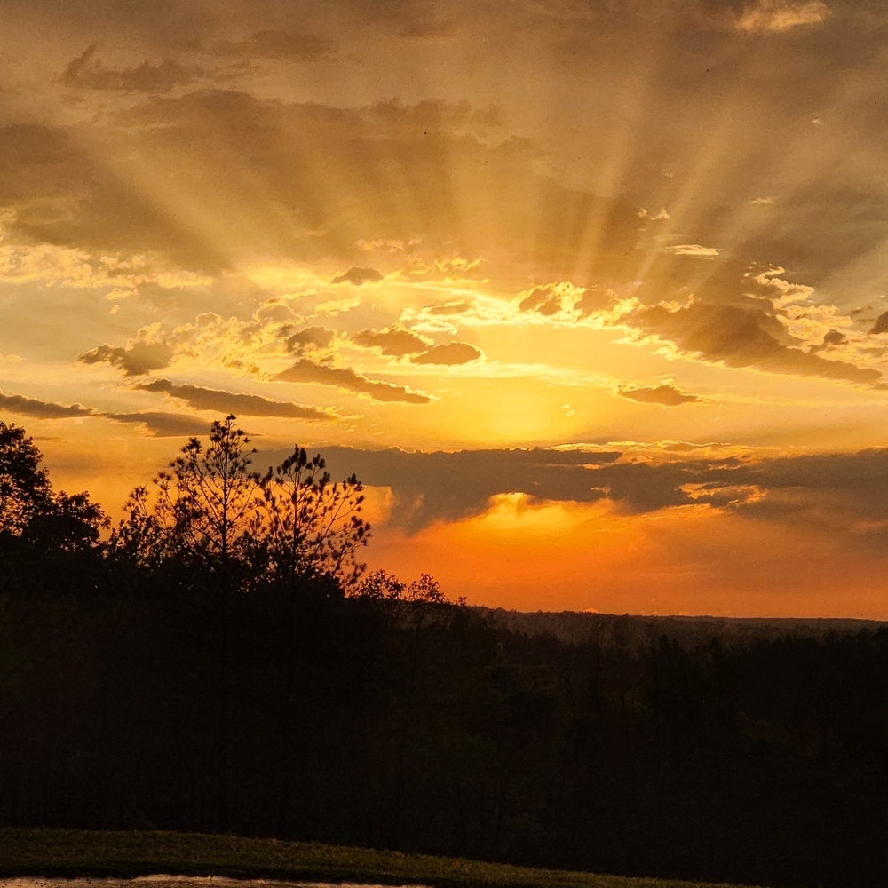 Meet your Posher, Pookie